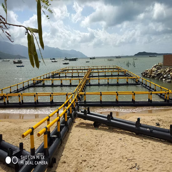 Factory Direct Supply of Marine Aquaculture Cage Support 400 Deep-Sea Aquaculture Support Platform PE Cage Support