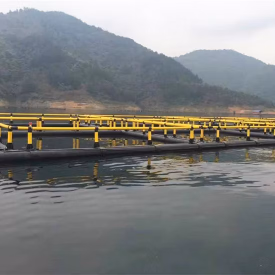 Factory Direct Supply of Marine Aquaculture Cage Support 400 Deep-Sea Aquaculture Support Platform PE Cage Support