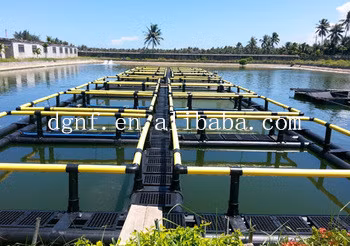 Factory Direct Supply of Marine Aquaculture Cage Support 400 Deep-Sea Aquaculture Support Platform PE Cage Support