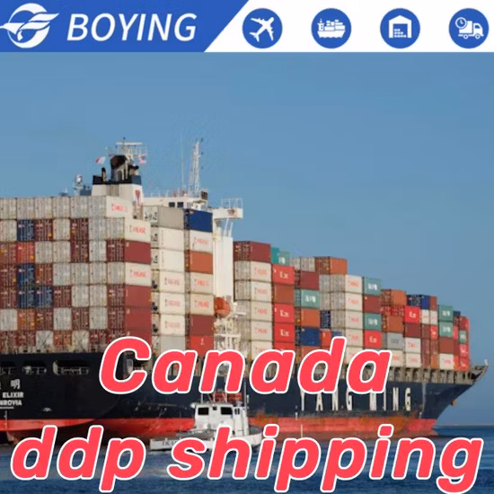 Китайский агент по морским перевозкам в Австралию Специальная транспортная логистика